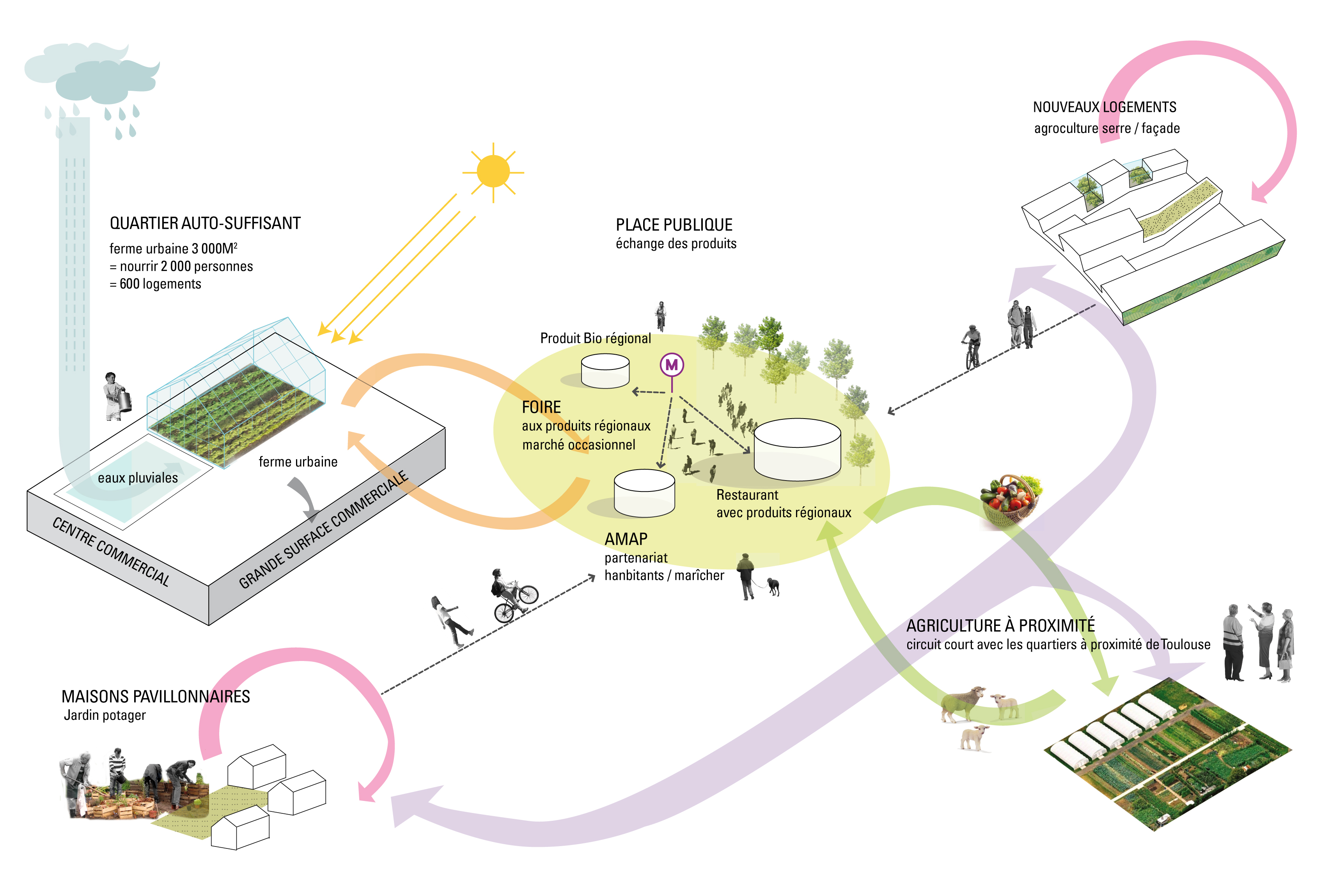 circuit alimentaire du quartier